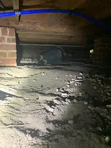 All Star Pest Control photo 3