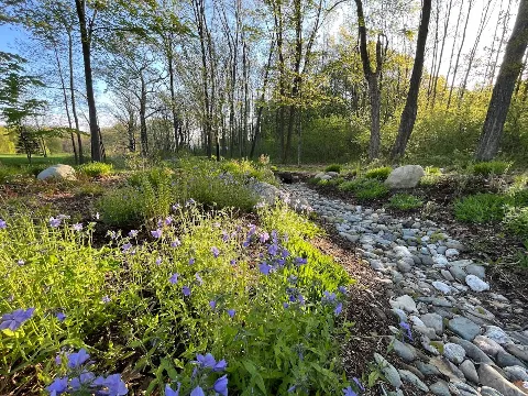 Dicot Landscape Studio photo 1