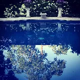 Forest City Pool & Patio Inc. photo 8