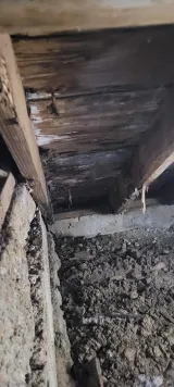 Kelly & Justin Termite & Pest Control Inc photo 5