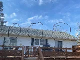 Pest Stop Inc. Pest Control Services photo 7