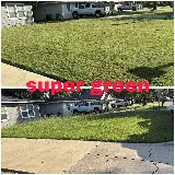 Super Green J&D LLC photo 3