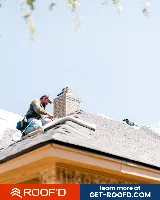 Roof'd photo 2