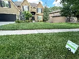 Gunter Pest & Lawn photo 6