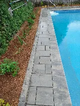 Verdant Landscape and Design Inc. photo 3