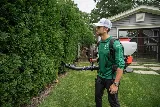 Insight Pest Solutions - Montréal, QC