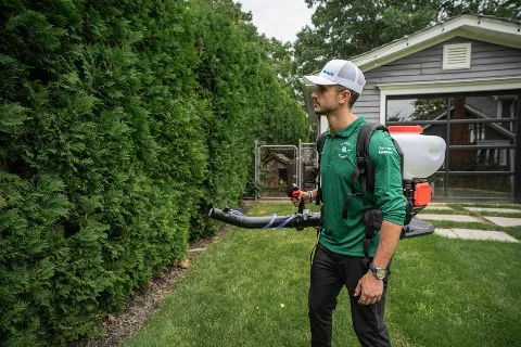 Insight Pest Solutions - Montréal, QC photo 1