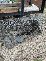 Preferred Pest Management photo 6