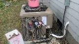 Dinosaur Heating and Cooling LLC