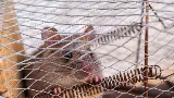 Family Pest Control photo 6
