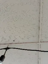 Moxie Pest Control photo 5
