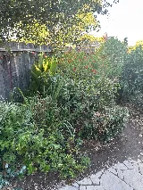 Brooks Pest Control photo 8