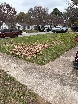 Super Green J&D LLC photo 2