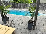 Linerteck Pools photo 8