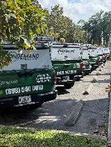 On Demand Pest Control photo 4