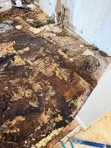 Asheville Flooring LLC photo 8