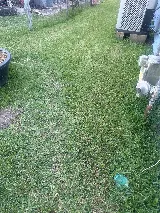 LaJaunie's Pest Control photo 5