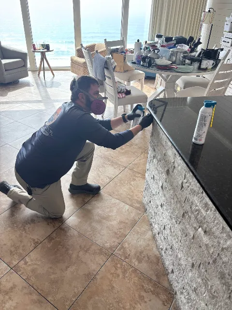 I Can Do All Things Pest Control in Panama City