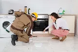 Total Pest Control Ltd Surrey BC