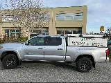 Newton Pest Control