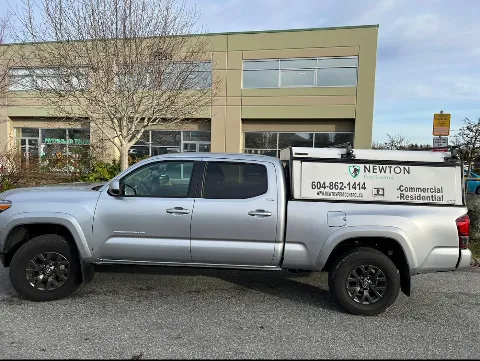 Newton Pest Control in Surrey
