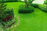 R & S Landscaping photo 4
