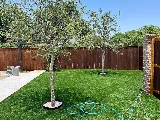 Lubbock Pro Services photo 4