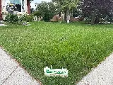 Yard Dawgs Lawn Care