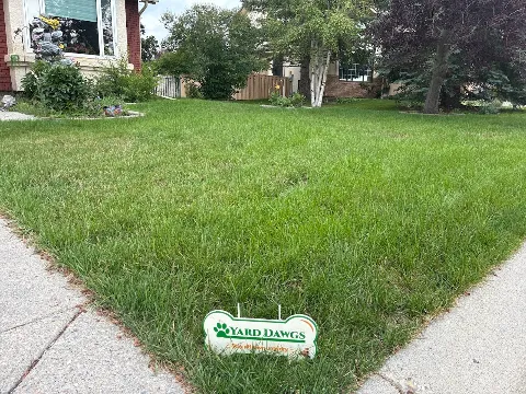 Yard Dawgs Lawn Care in Red Deer