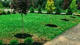 Landscaping experts Tree Planting, Sodding, Garden design