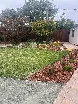 Landscape Therapist Inc. photo 8