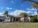 LIME Painting of Southwest Florida photo 5