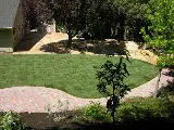 A&N Gardening & Landscaping photo 3