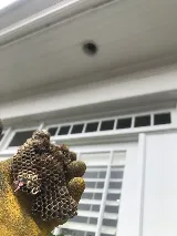 Bug Bully Pest Control photo 5