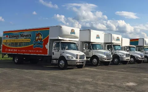 Ecoway Movers Markham ON in Markham