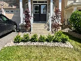 S.N.G Landscaping photo 4