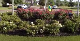 U.S. Lawns - New Orleans photo 2