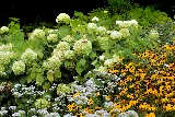 Stone Blossom Landscape & Design, LLC photo 5