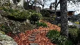 Victoria Student Landscaping