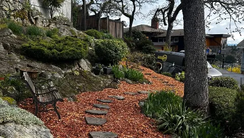 Victoria Student Landscaping in Victoria