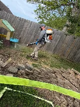 Colonial Pest Control photo 5