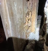 El Valle Pest Control photo 2