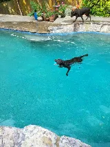 Aqua Pool Company, Inc. photo 3