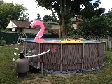 Westmount Pool And Spa photo 4