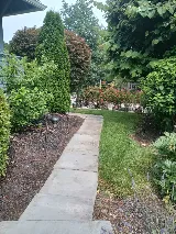 HonMex Landscaping photo 6