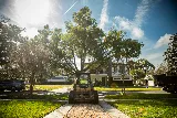 Ground Source Landscaping photo 7