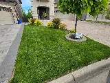 S.N.G Landscaping photo 2