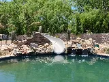 Mosquito Squad Plus of Las Cruces photo 5