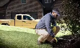 Waynes Pest Control photo 2