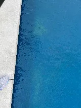 The Pool Center photo 8